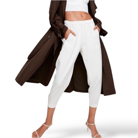 ARITZIA BABATON White Dexter Jogger Style Pull On Pants Stretch Waist US Sz L - Picture 1 of 12
